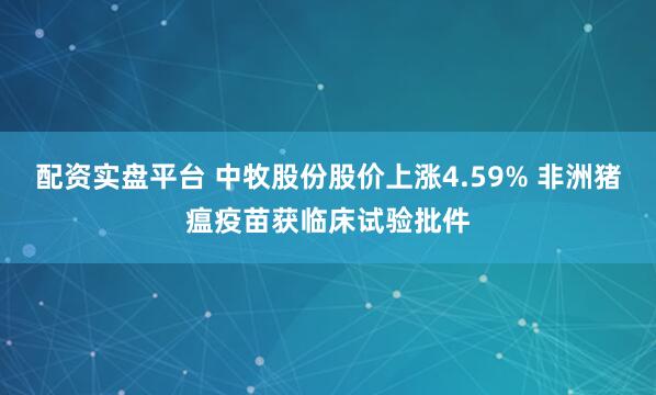 配资实盘平台 中牧股份股价上涨4.59% 非洲猪瘟疫苗获临床试验批件