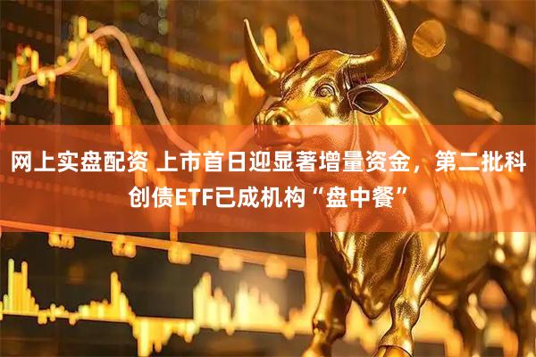 网上实盘配资 上市首日迎显著增量资金，第二批科创债ETF已成机构“盘中餐”